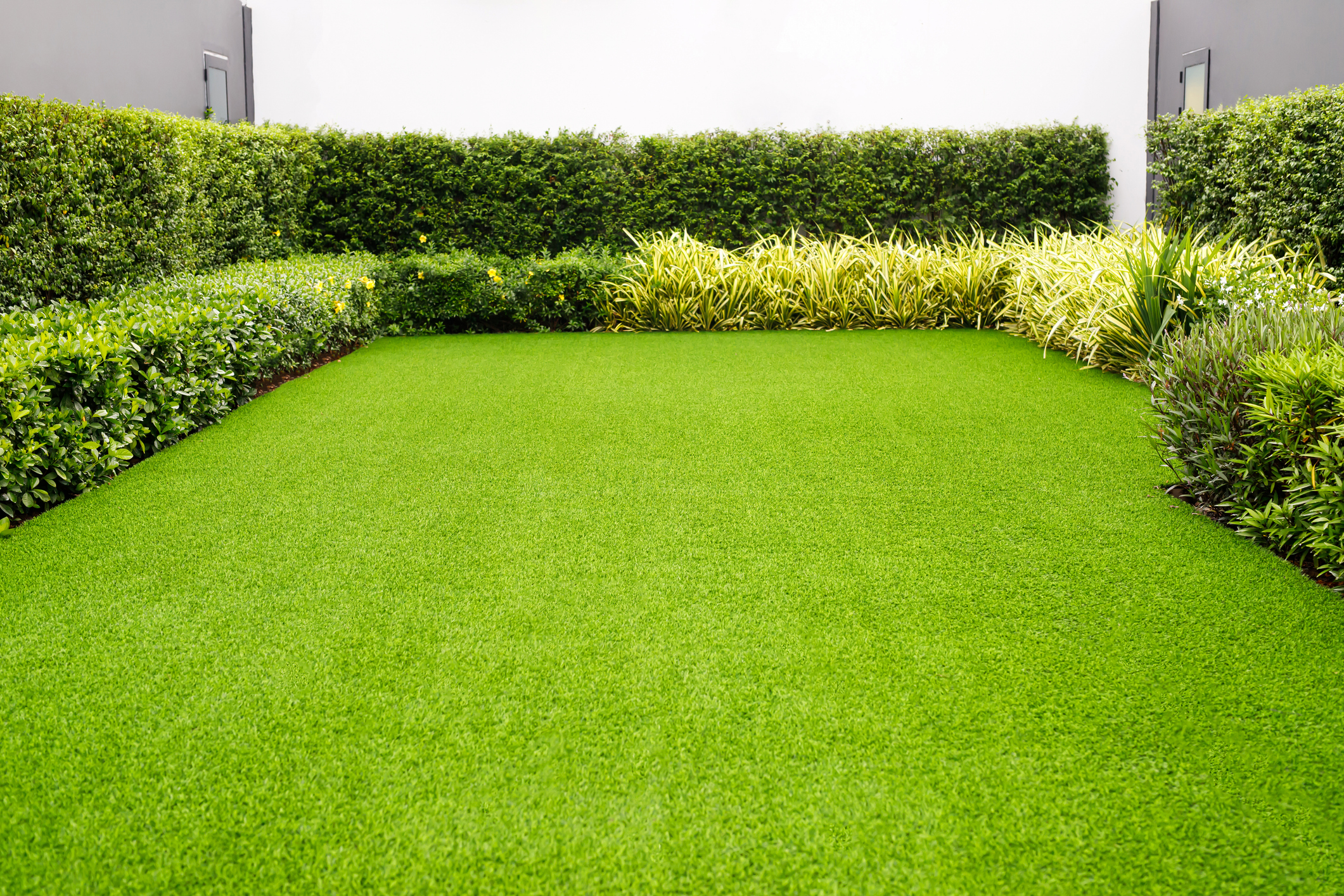 Landscape image placeholder for service detail one